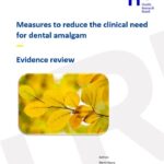 Measures to reduce the clinical need for dental amalgam. An evidence review