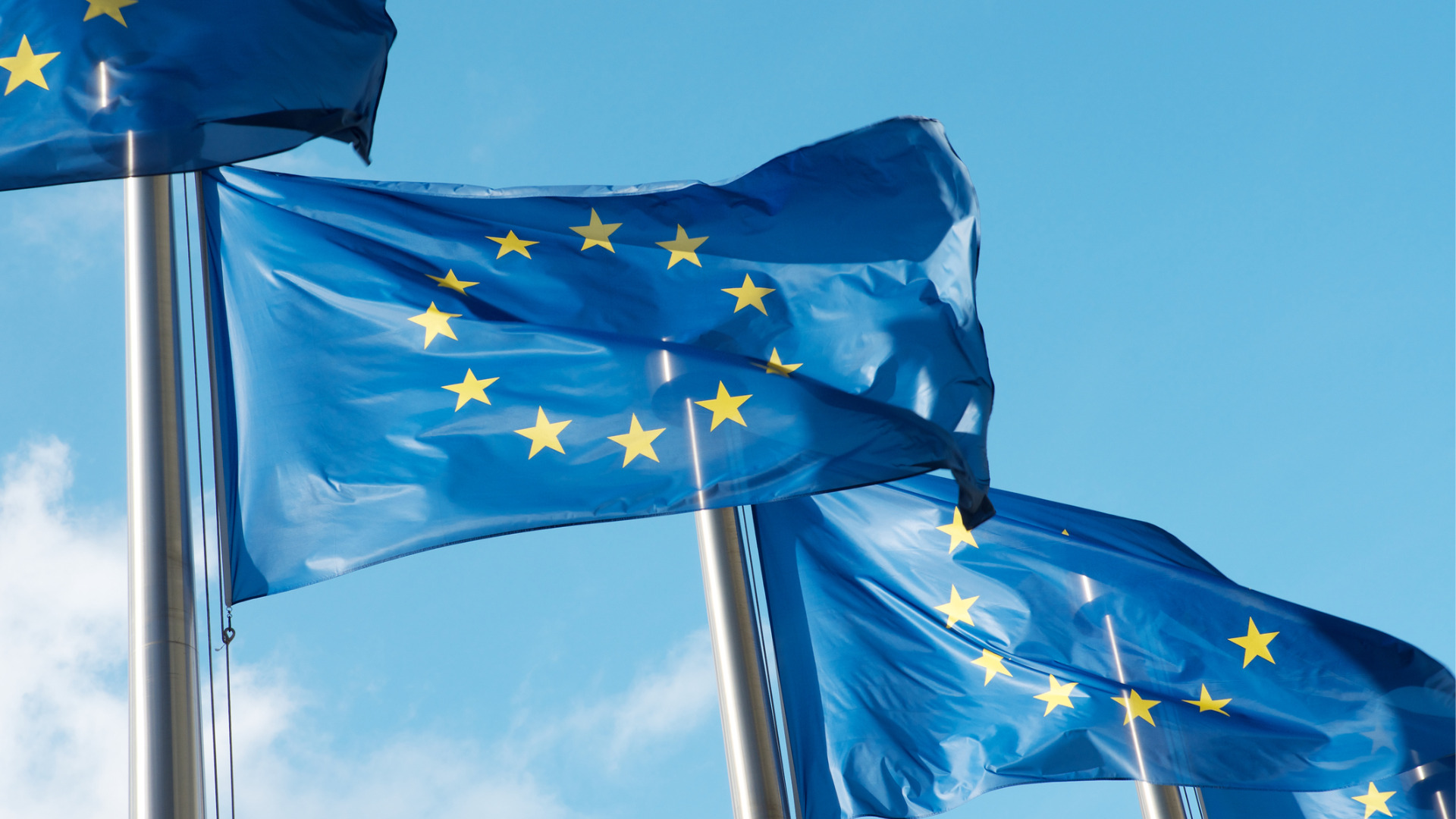 European Union flags waving in the wind