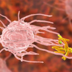 Immune cells in smokers’ lungs ‘too exhausted’ to fight Tuberculosis
