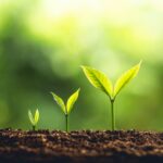 HRB provides €15 million to support emerging health researchers