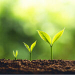Climbing the health research career ladder